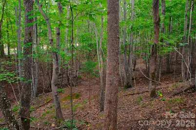 0 Creekside Circle #110, Rutherfordton, NC 28139 - Photo 5