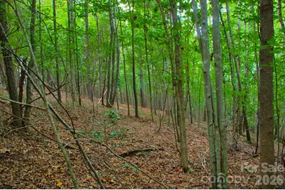 0 Creekside Circle #110, Rutherfordton, NC 28139 - Photo 3