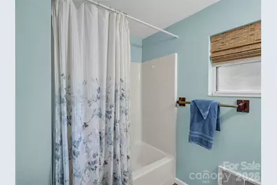 239 Havnaers Point, Lake Lure, NC 28746 - Photo 31
