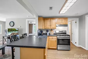 239 Havnaers Point, Lake Lure, NC 28746 - Photo 11