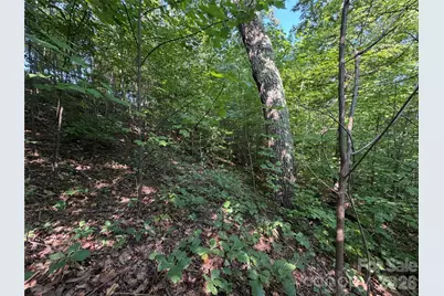 0 Holland Drive #24, Columbus, NC 28722 - Photo 27