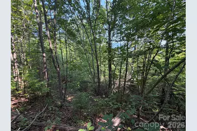 0 Holland Drive #24, Columbus, NC 28722 - Photo 11
