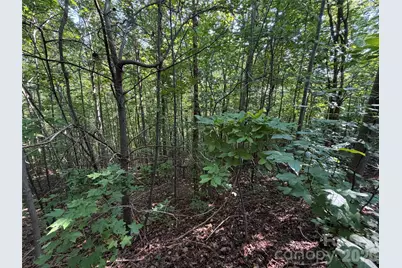 0 Holland Drive #24, Columbus, NC 28722 - Photo 19