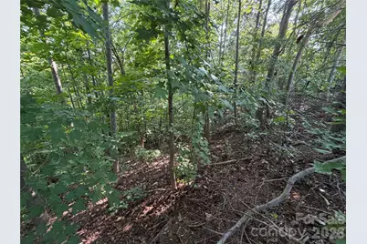 0 Holland Drive #24, Columbus, NC 28722 - Photo 21