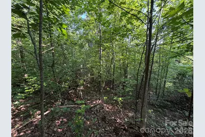0 Holland Drive #24, Columbus, NC 28722 - Photo 29