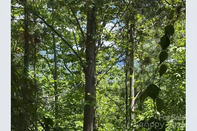 0 Holland Drive #24, Columbus, NC 28722 - Photo 17