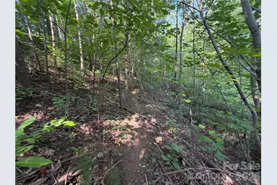0 Holland Drive #24, Columbus, NC 28722 - Photo 35