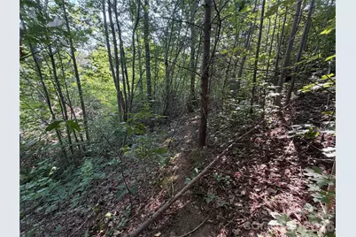 0 Holland Drive #24, Columbus, NC 28722 - Photo 25