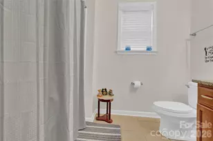 282 Fischer Rd, Fort Mill, SC 29715 - Photo 21