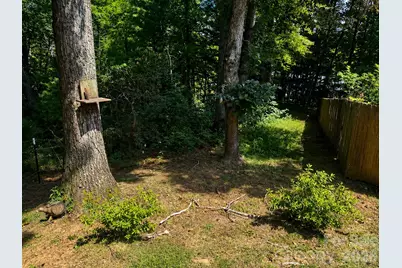 51 Sleepy Forest Drive, Leicester, NC 28748 - Photo 47