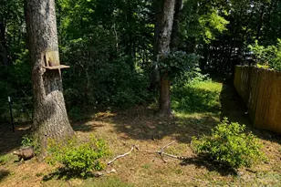 51 Sleepy Forest Dr, Leicester, NC 28748 - Photo 47