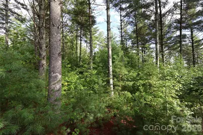 Tbd Peninsula Reserve Drive #6, Nebo, NC 28761 - Photo 23