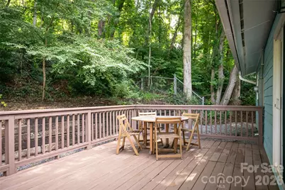 246 North Fork Road, Black Mountain, NC 28711 - Photo 33