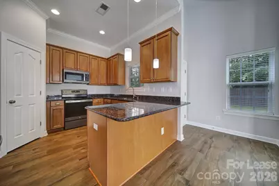 11910 Lacroix Street, Charlotte, NC 28277 - Photo 9