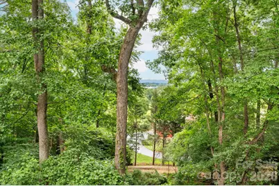 232 Ladson Spring Trail, Mills River, NC 28759 - Photo 17