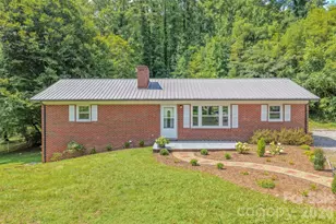 8525 US 25/70 Hwy, Marshall, NC 28753 - Photo 3