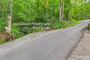 00 Dogwood Trail, Waynesville, NC 28786 - Photo 1