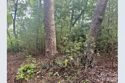 V/L Tahawus Drive #92, Bostic, NC 28018 - Photo 3