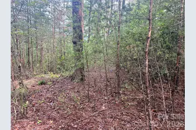 V/L Tahawus Drive #92, Bostic, NC 28018 - Photo 5