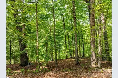 67 Wildflower Lane, Travelers Rest, SC 29690 - Photo 3