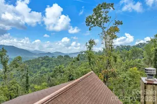 1894 Left Fork Run Rd, Bakersville, NC 28705 - Photo 5