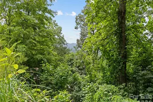 180 Hidden Meadow Dr, Candler, NC 28715 - Photo 7