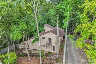 10 Chestnut Ridge Rd, Mills River, NC 28759 - Photo 45