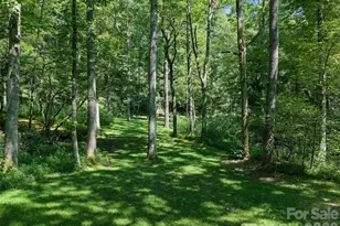 3301 State Hwy 197 None N, Burnsville, NC 28714 - Photo 31