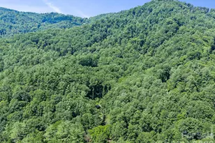 3301 State Hwy 197 None N, Burnsville, NC 28714 - Photo 25