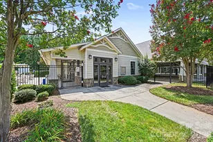 1162 Gold Rush Ct, Fort Mill, SC 29708 - Photo 43