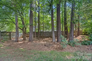 2428 Tarleton Twins Terrace, Charlotte, NC 28270 - Photo 37