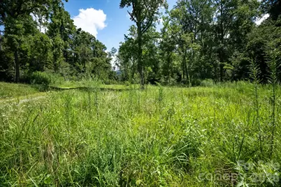 278 Shope Creek Road, Asheville, NC 28805 - Photo 27