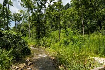 278 Shope Creek Road, Asheville, NC 28805 - Photo 25