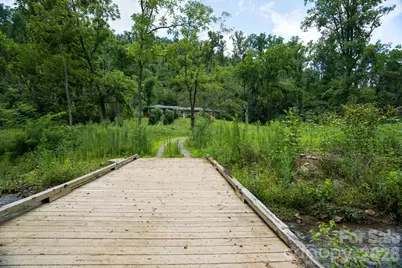 278 Shope Creek Road, Asheville, NC 28805 - Photo 9
