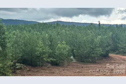 V/L Lotus Drive #14, Nebo, NC 28761 - Photo 19