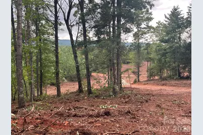 V/L Lotus Drive #14, Nebo, NC 28761 - Photo 11