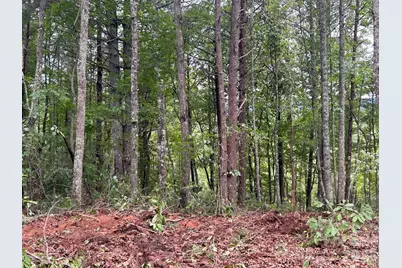 V/L Lotus Drive #14, Nebo, NC 28761 - Photo 13