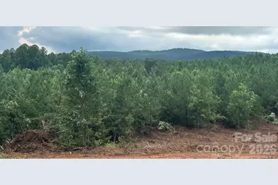 V/L Lotus Drive #14, Nebo, NC 28761 - Photo 5