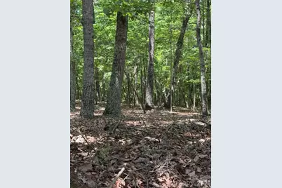 0 Cottonstone Lane, Troy, NC 27371 - Photo 3