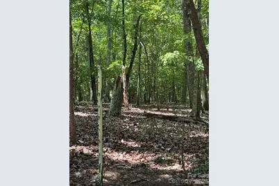 0 Cottonstone Lane, Troy, NC 27371 - Photo 5
