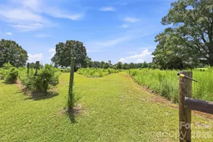 650 Monticello Rd, Lancaster, SC 29720 - Photo 27