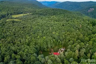 87 Old Chimney Ln, Cedar Mountain, NC 28718 - Photo 3