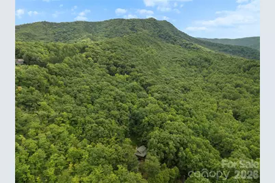 236 Holland Drive, Black Mountain, NC 28711 - Photo 43