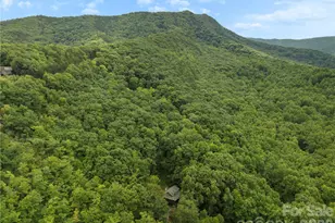 236 Holland Dr, Black Mountain, NC 28711 - Photo 43