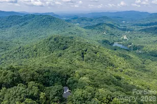 219 Echo Mountain View Rd, Fairview, NC 28730 - Photo 47