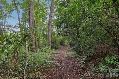 100 Vista Lake Drive #2, Candler, NC 28715 - Photo 43