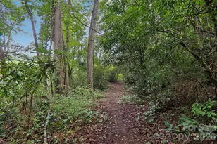 100 Vista Lake Dr, Candler, NC 28715 - Photo 43