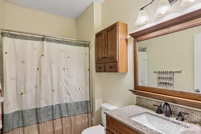 100 Vista Lake Drive #2, Candler, NC 28715 - Photo 25