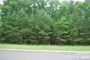 3225 Ashwood Park Dr, Belmont, NC 28012 - Photo 1