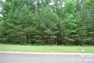 3225 Ashwood Park Dr, Belmont, NC 28012 - Photo 3